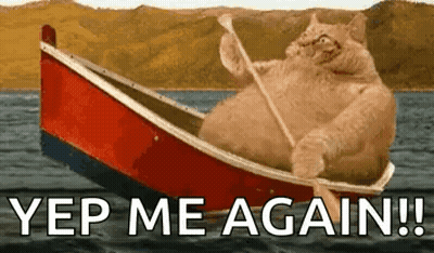 Cat Rowing Boat Saying Yep Me Again GIF