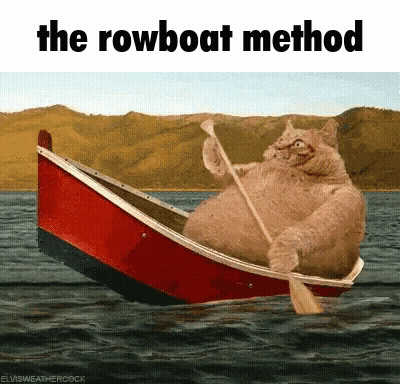 Cat Rowing Boat The Rowboat Method GIF