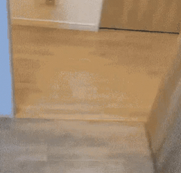 Cat Run Fast For Bedtime GIF