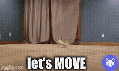 Cat Running On Rug Saying Let's Move GIF