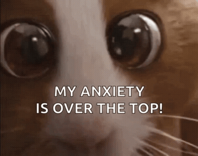 Cat's Eyes My Anxiety Is Over The Top GIF
