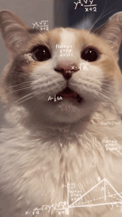 Cat's Face With Mathematical Equations GIF