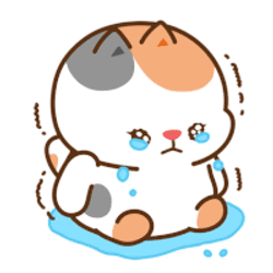 Cat Sad Sticker GIF