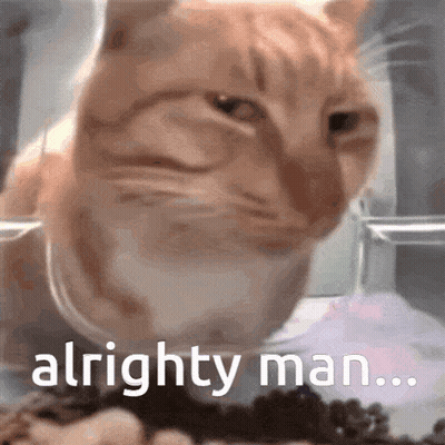 Cat Saying Alrighty Man GIF