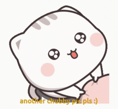 Cat Saying Another Chubby Pic Pls GIF