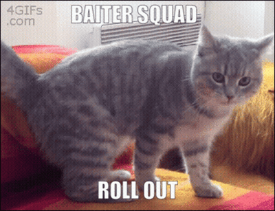 Cat Saying Baiter Squad Roll Out GIF