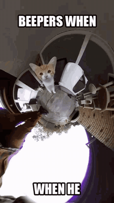 Cat Saying Beepers When When He GIF