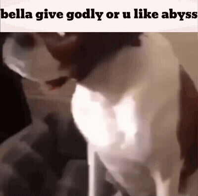 Cat Saying Bella Give Godly Or U Like Abyss GIF