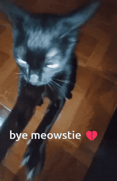 Cat Saying Bye Meowstie GIF