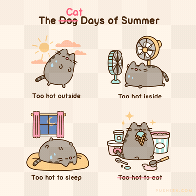 Cat Saying Cat The Dog Days Of Summer GIF