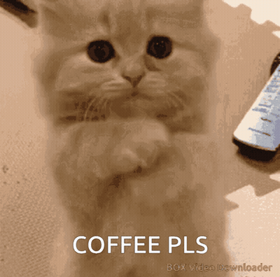 Cat Saying Coffee Pls GIF