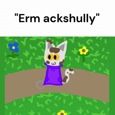 Cat Saying Erm Ackshully GIF