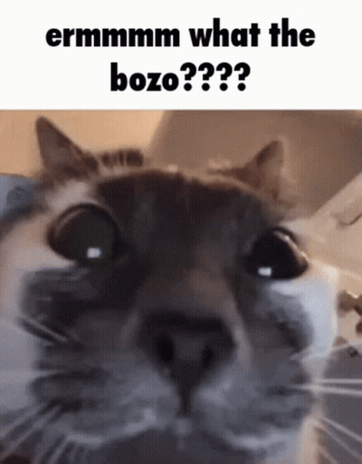 Cat Saying Ermmmm What The Bozo GIF