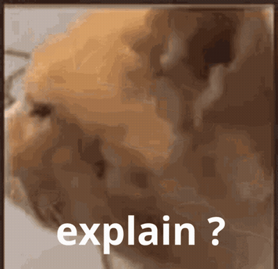 Cat Saying Explain GIF
