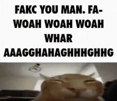 Cat Saying Fakc You Man Fa Woah Woah Woah Whar GIF