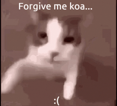 Cat Saying Forgive Me Koa GIF
