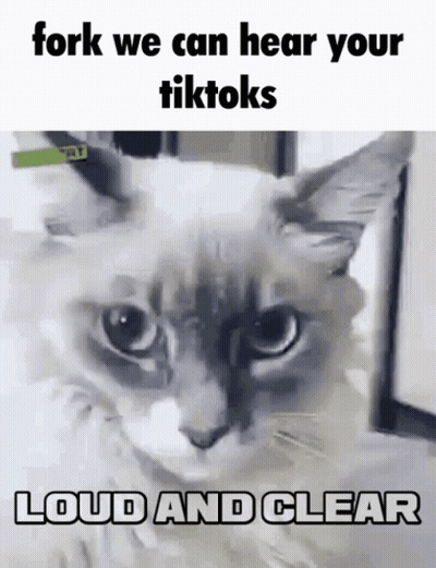 Cat Saying Fork We Can Hear Your Tiktoks Loud And Clear GIF