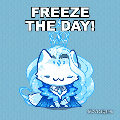 Cat Saying Freeze The Day GIF