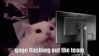 Cat Saying Gage Flashing Out The Team GIF