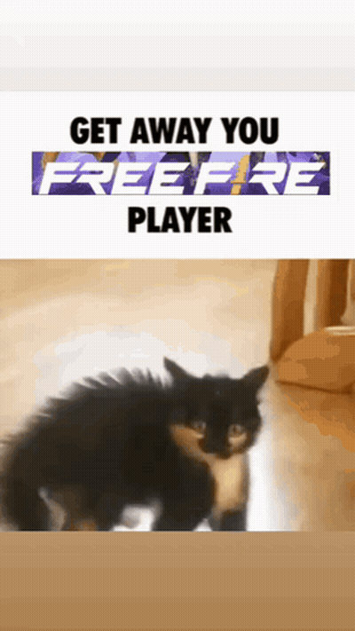 Cat Saying Get Away You Freefire Player GIF