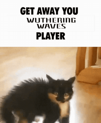 Cat Saying Get Away You Wuthering Waves Player GIF