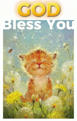 Cat Saying God Bless You GIF