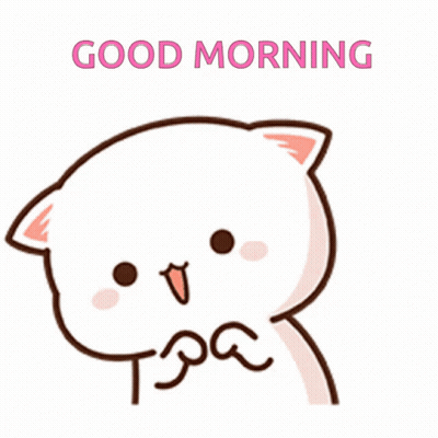 Cat Saying Good Morning GIF