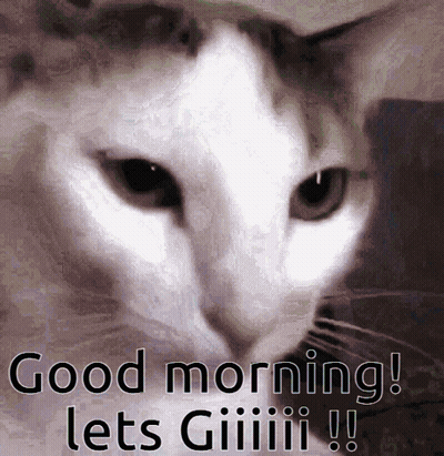 Cat Saying Good Morning Let's Giiiii GIF