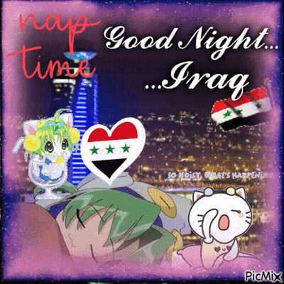 Cat Saying Good Night Iraq GIF