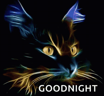 Cat Saying Goodnight GIF