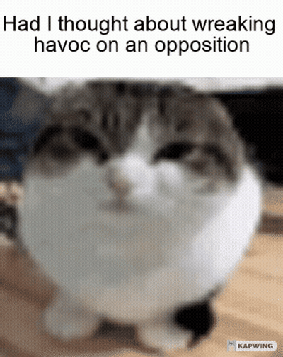 Cat Saying Had I Thought About Wreaking Havoc On An Opposition GIF