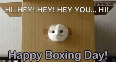 Cat Saying Happy Boxing Day In Box GIF