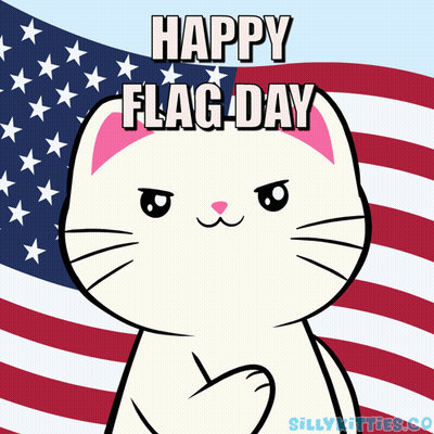 Cat Saying Happy Flag Day GIF