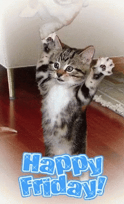 Cat Saying Happy Friday GIF