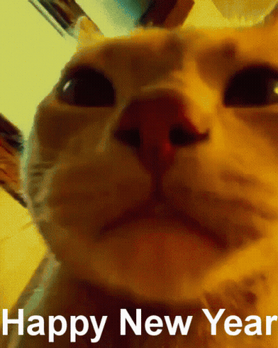Cat Saying Happy New Year GIF