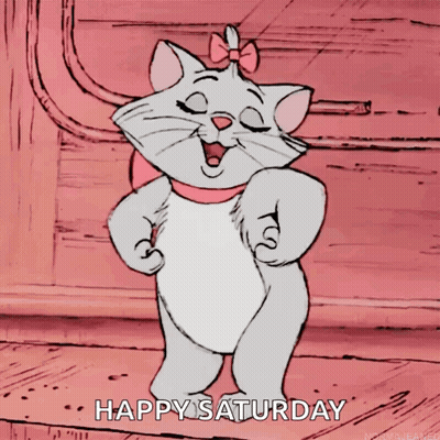Cat Saying Happy Saturday GIF