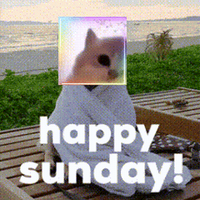 Cat Saying Happy Sunday GIF