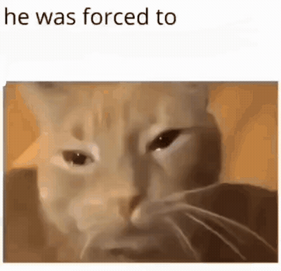 Cat Saying He Was Forced To GIF
