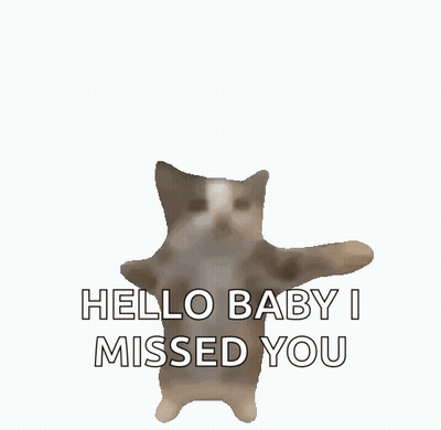 Cat Saying Hello Baby I Missed You GIF