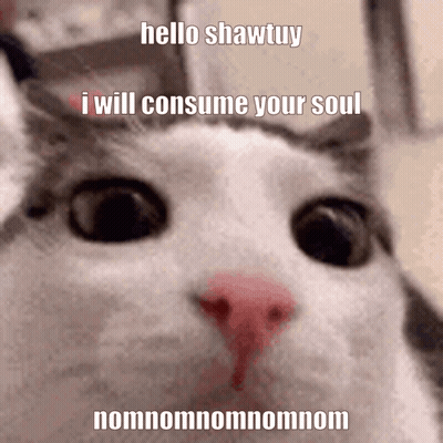 Cat Saying Hello Shawtuy I Will Consume Your Soul Nomnomnom GIF