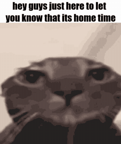 Cat Saying Hey Guys Its Home Time GIF