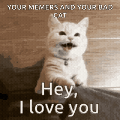 Cat Saying Hey I Love You GIF