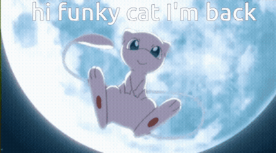 Cat Saying Hi Funky Cat I'm Back GIF