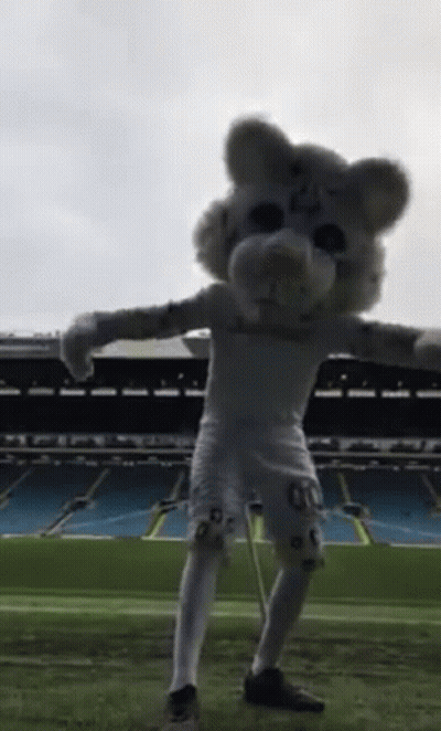 Cat Saying Hi Saint Hi Caedyn Hi Supa Hi Steph Hi Emma Hi Dysche GIF