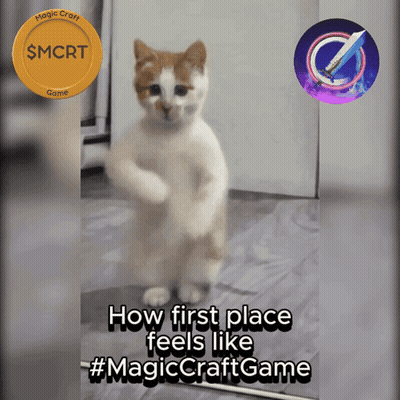 Cat Saying How First Place Feels Like GIF