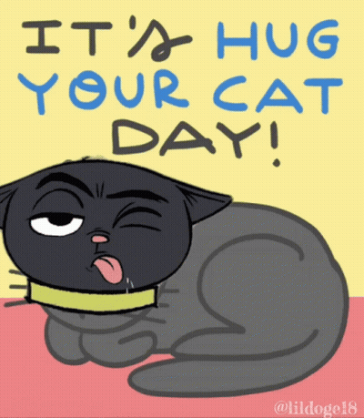 Cat Saying Hug Your Cat Day GIF