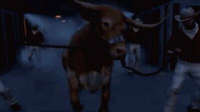 Cat Saying I Love You So Dance GIF