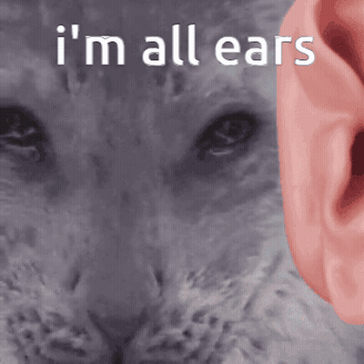 Cat Saying I'm All Ears GIF