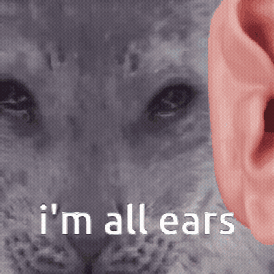 Cat Saying I'm All Ears GIF