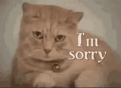 Cat Saying I'm Sorry GIF